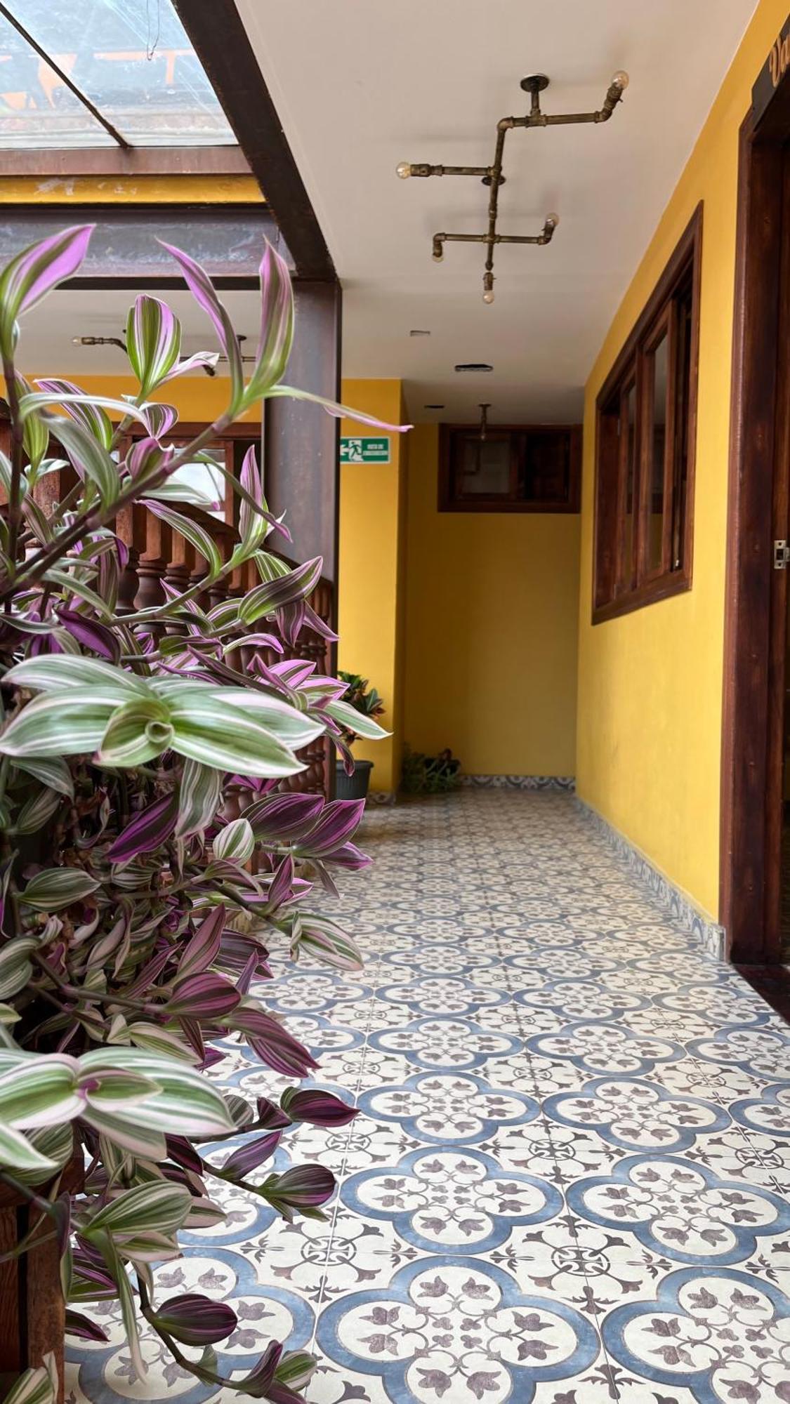 Hostal Casa Astromelia Bogotá Dış mekan fotoğraf